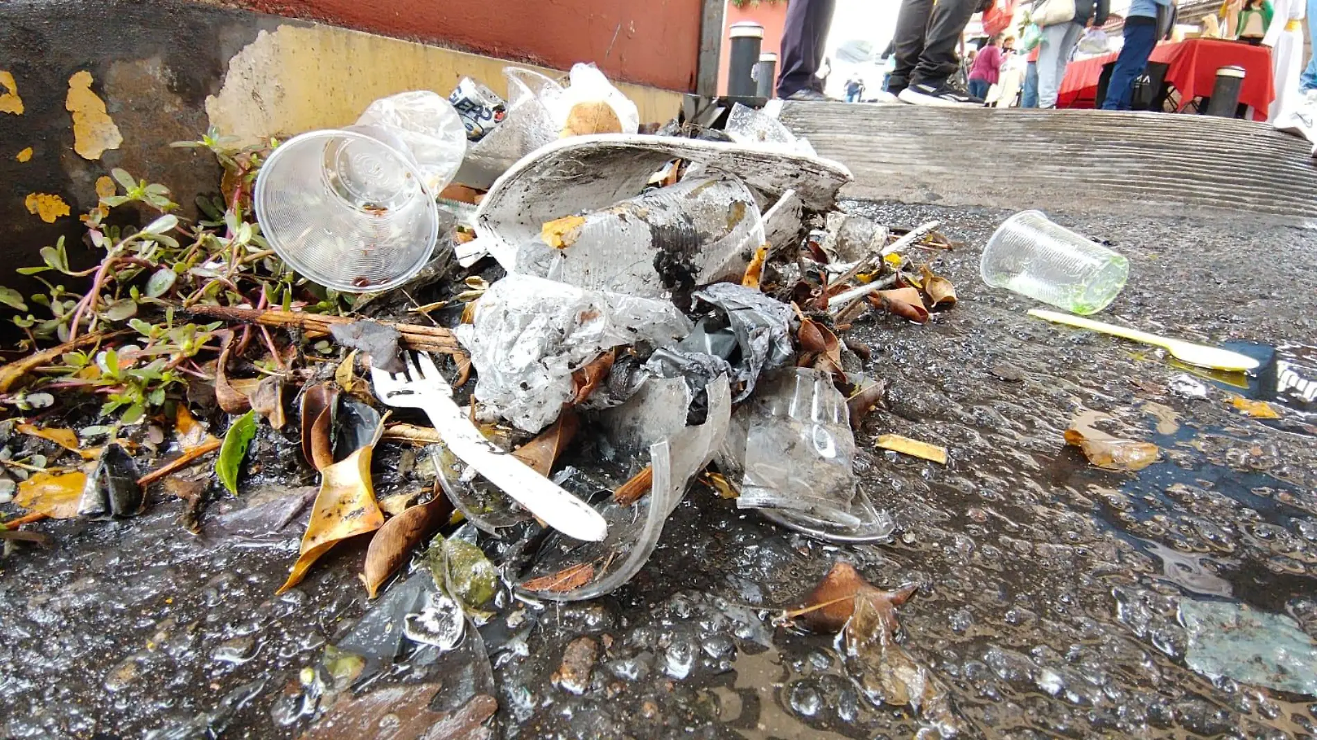 Basura de calles de Morelia 1